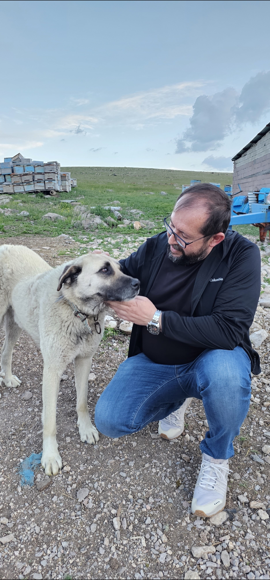 Görüldüğü kadar sakin değil