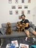 Aile Gibi Yakınız