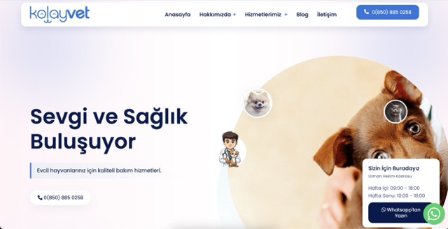 İstanbul Websitemiz Yayında
