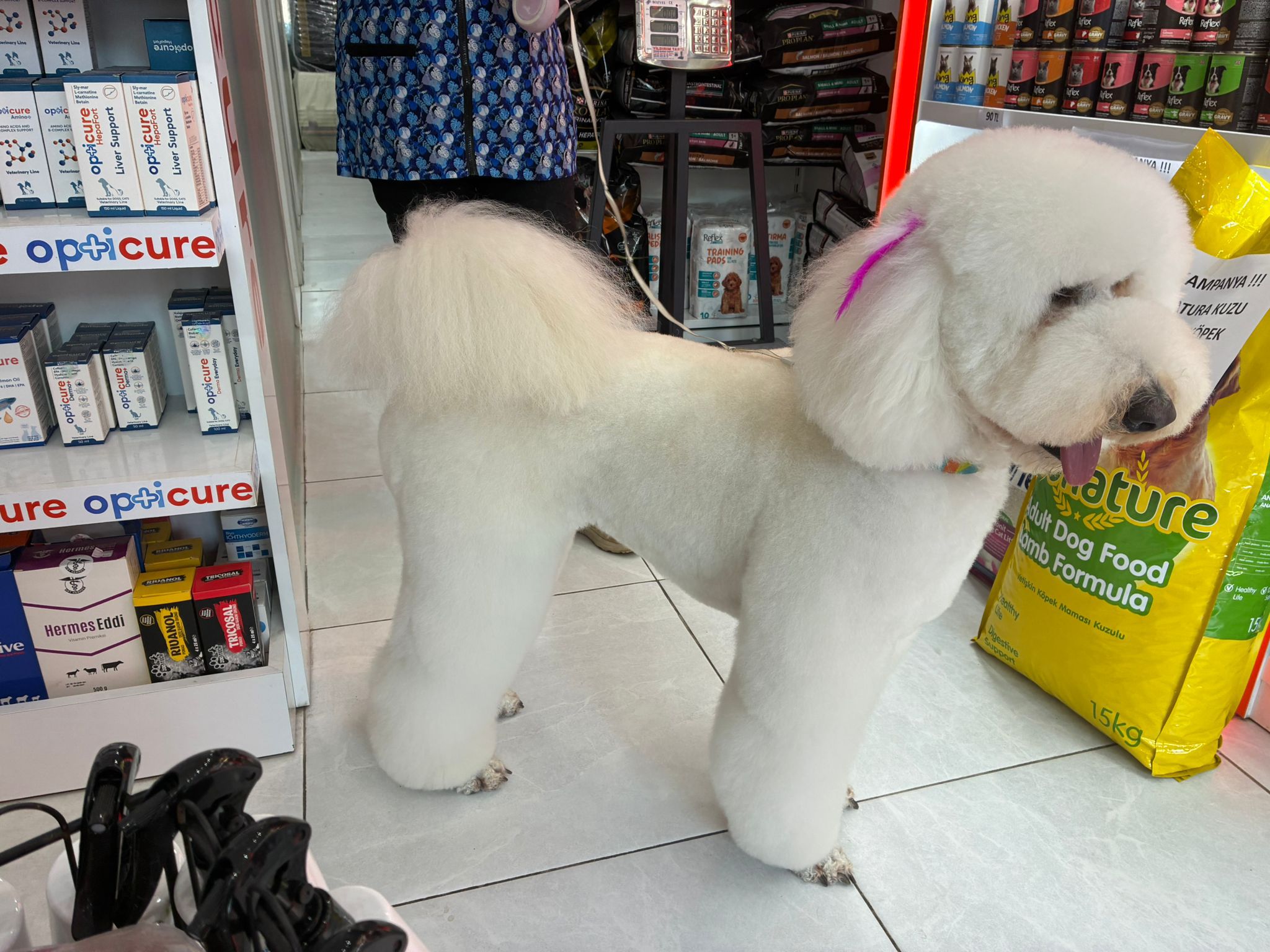 İzmir - Urla PET KUAFÖR