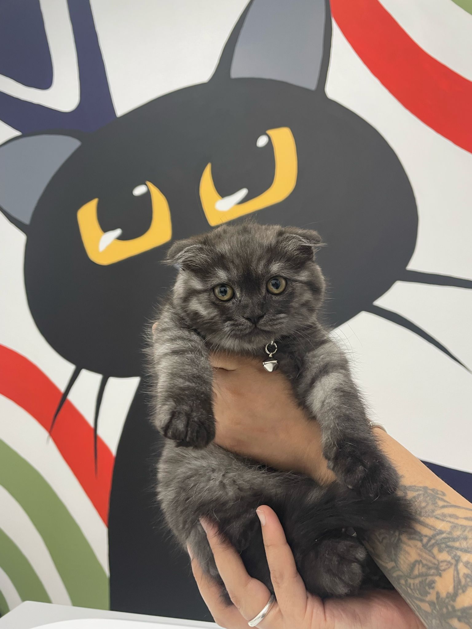 Güzel poz verenler burada mı