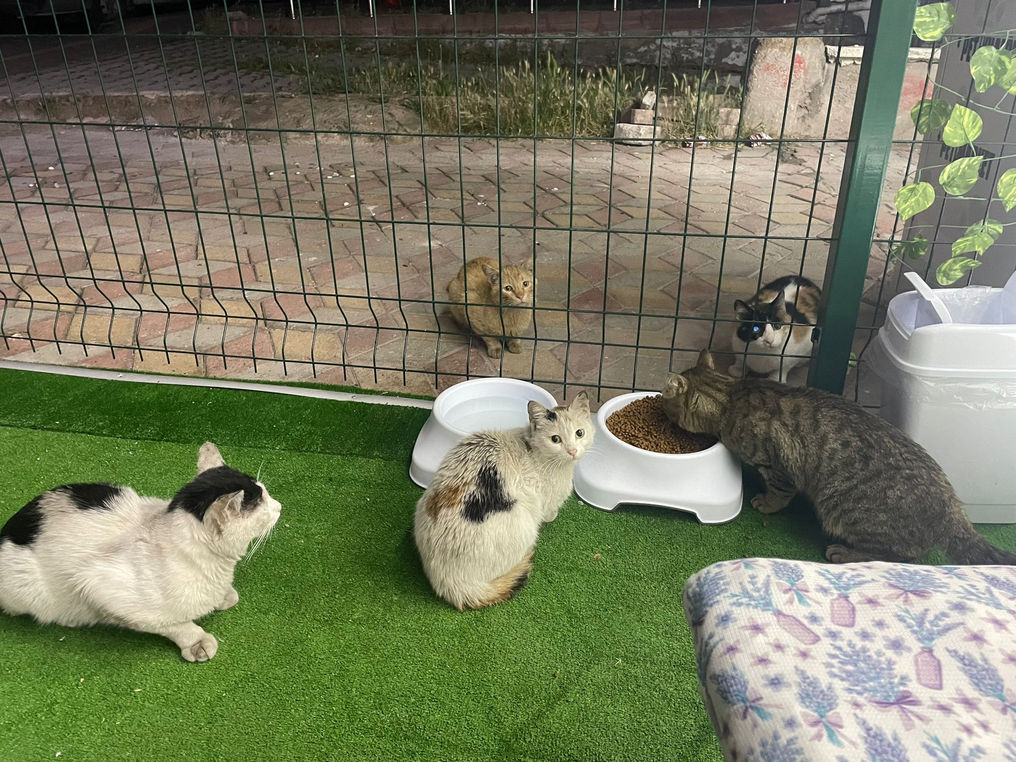 Aile İçi Toplantı