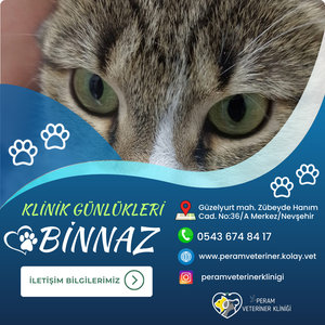 BİNNAZ