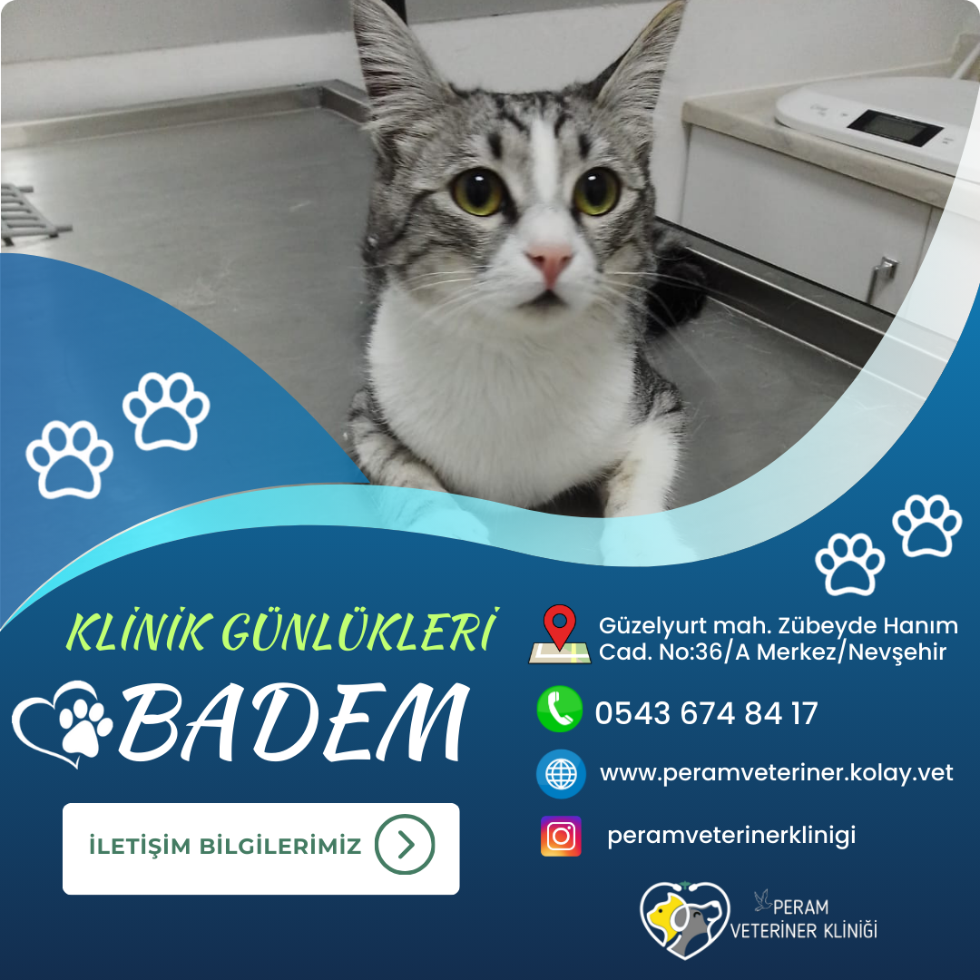 BADEM