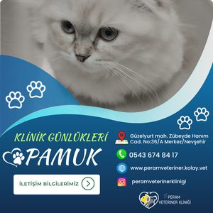 PPAMUK