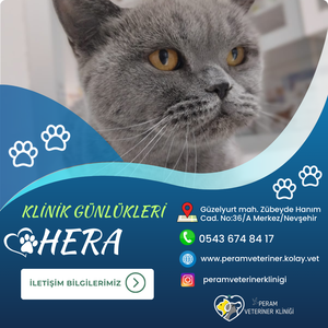 HERA