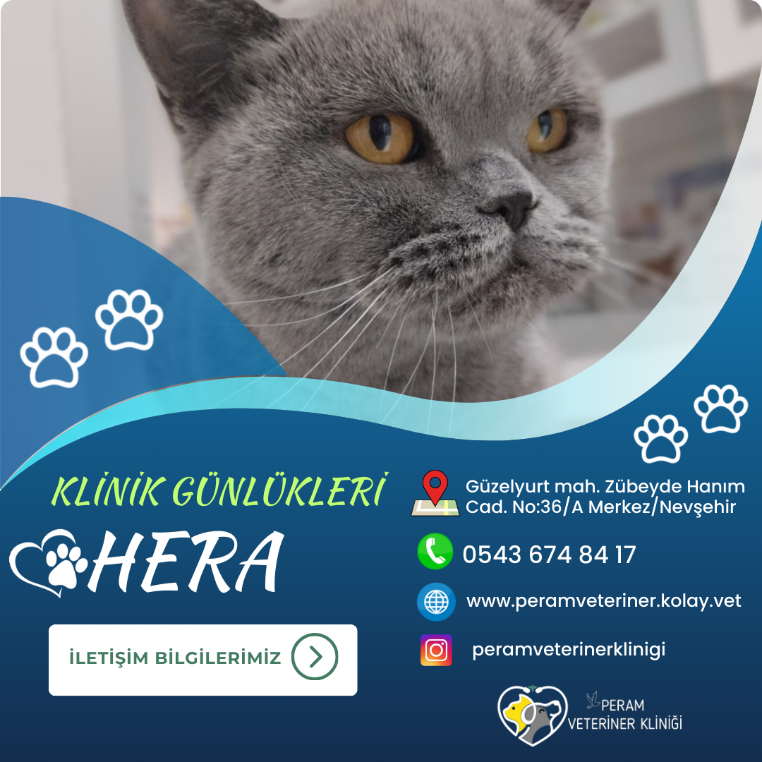 HERA