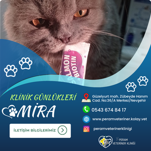 MİRA