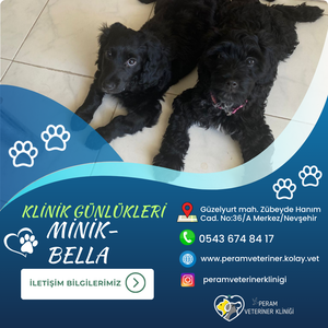 MİNİK-BELLA