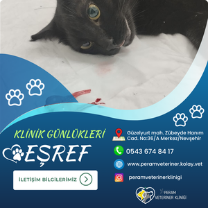 EŞREF