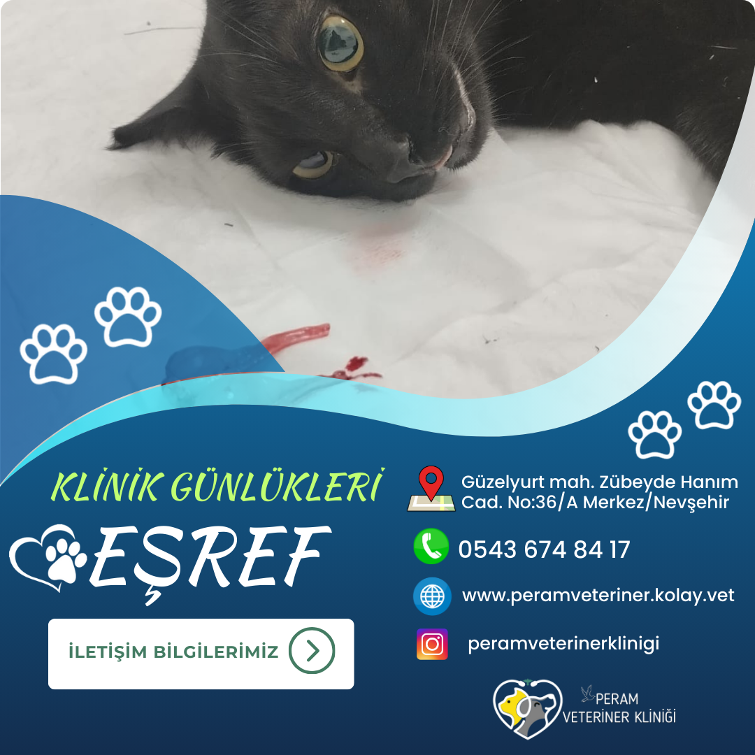 EŞREF