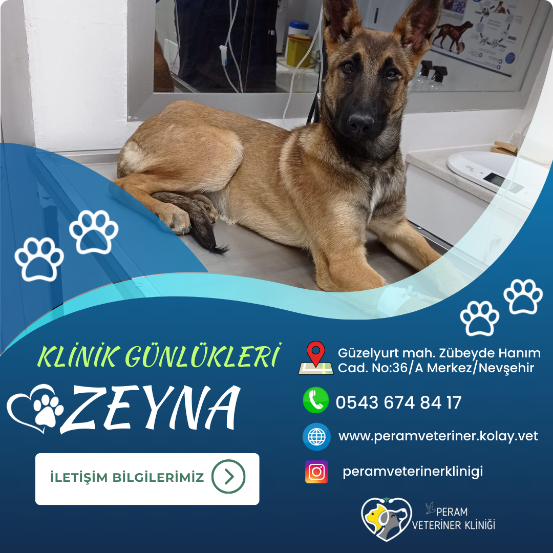 ZEYNA