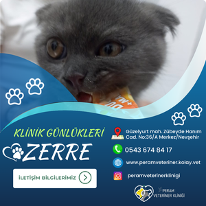 ZERRE