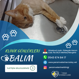 BALIM