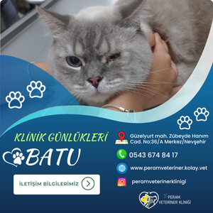 BATU