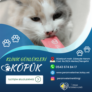 KÖPÜK