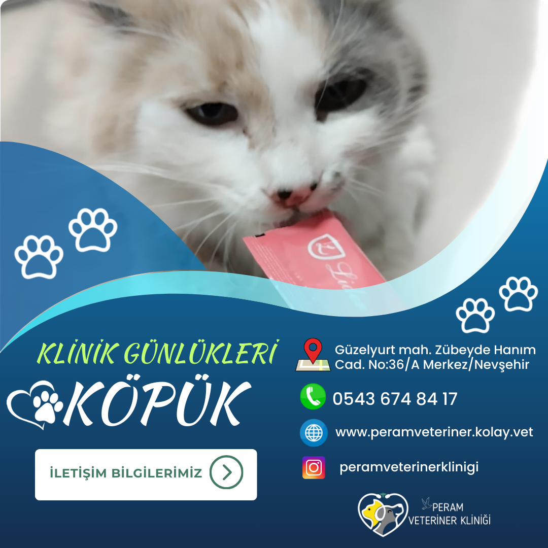 KÖPÜK