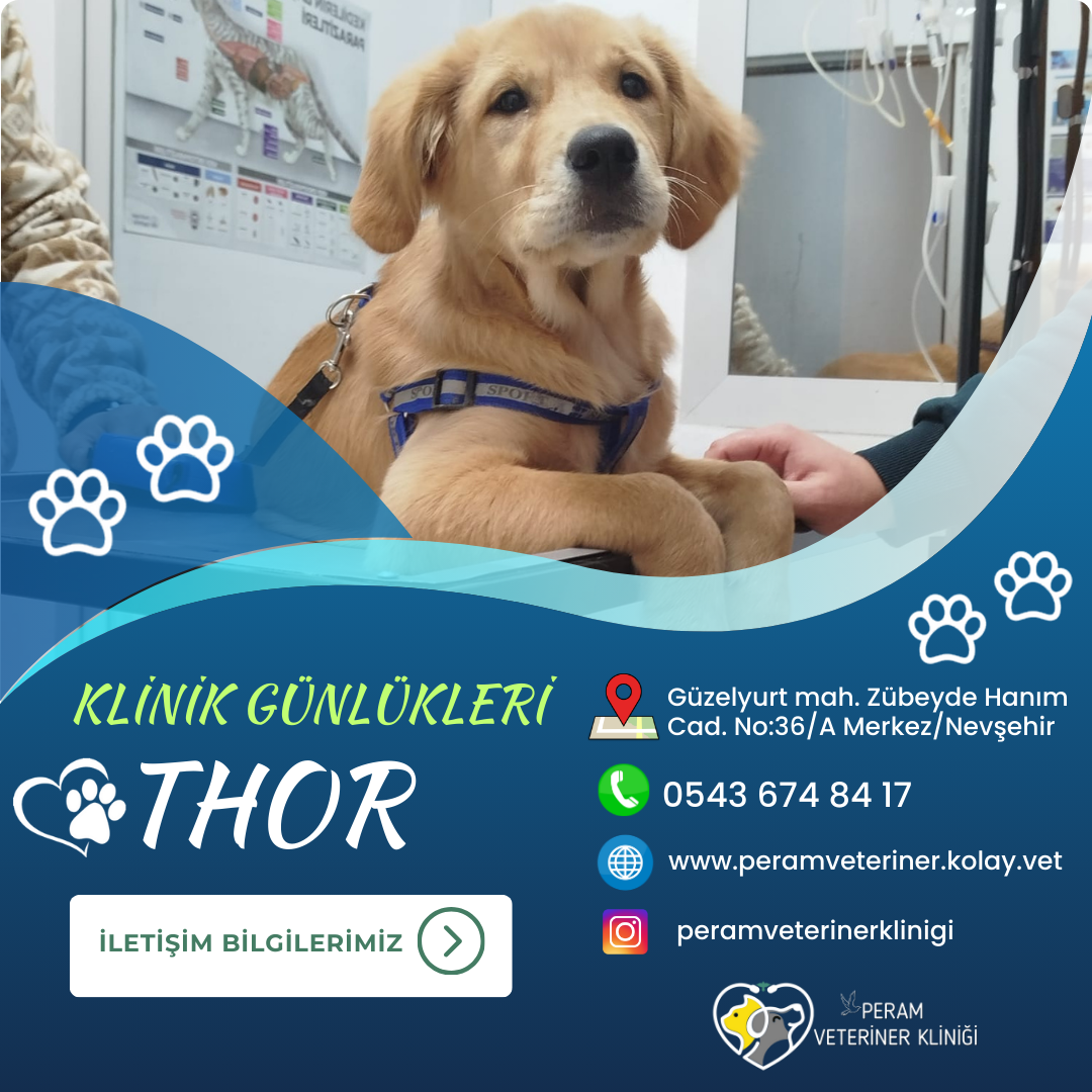 THOR