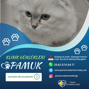 PAMUK-2