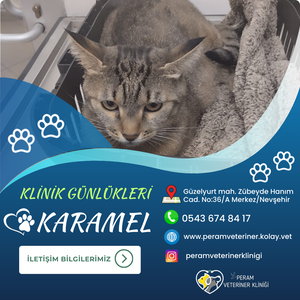 KARAMEL