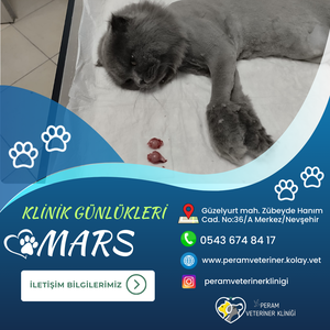 MARS-1
