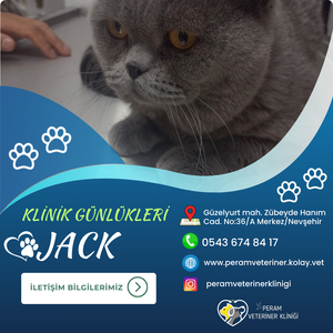 JACK