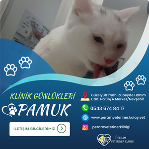 PAMUKK