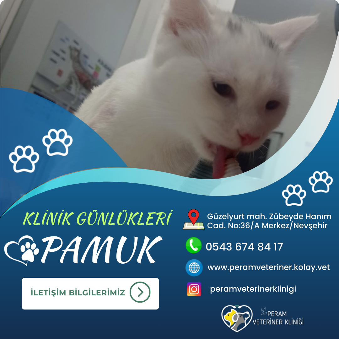PAMUKK