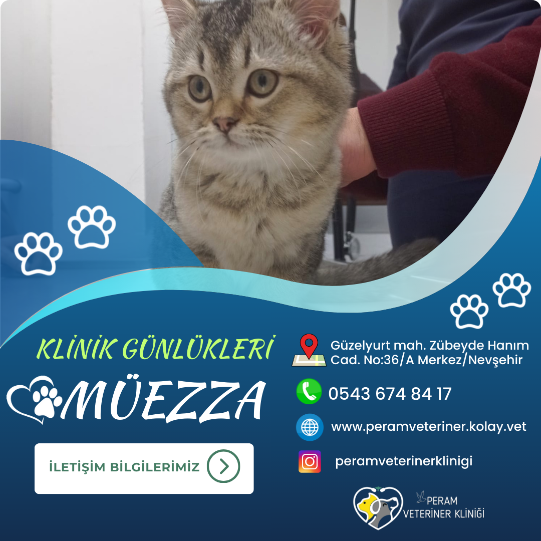 MÜEZZA