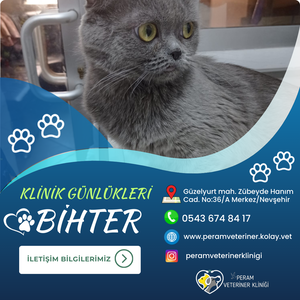 BİHTER