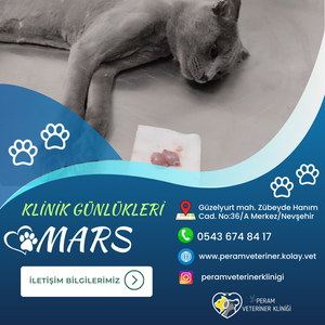 MARS-2