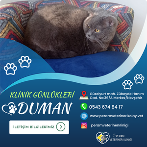 DUMAN