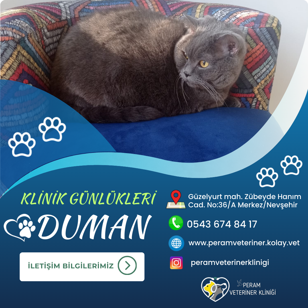 DUMAN
