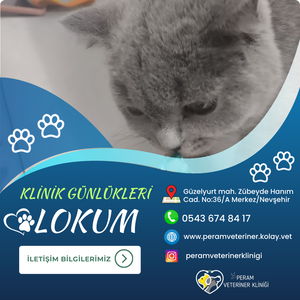 LOKUM