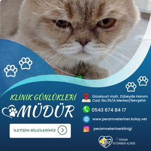 MÜDÜR