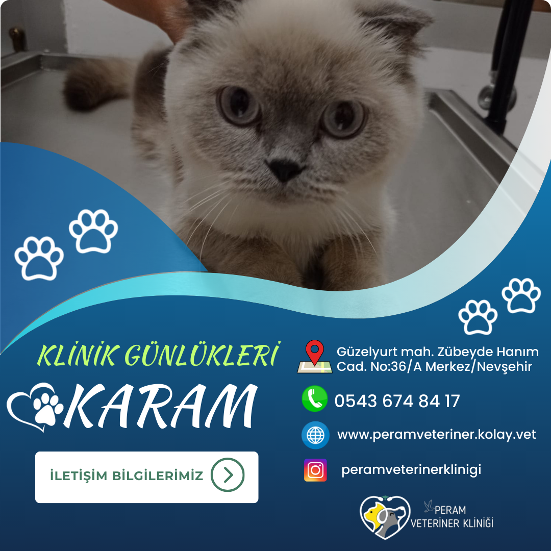 KARAM