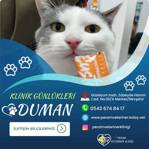 DUMAN-1
