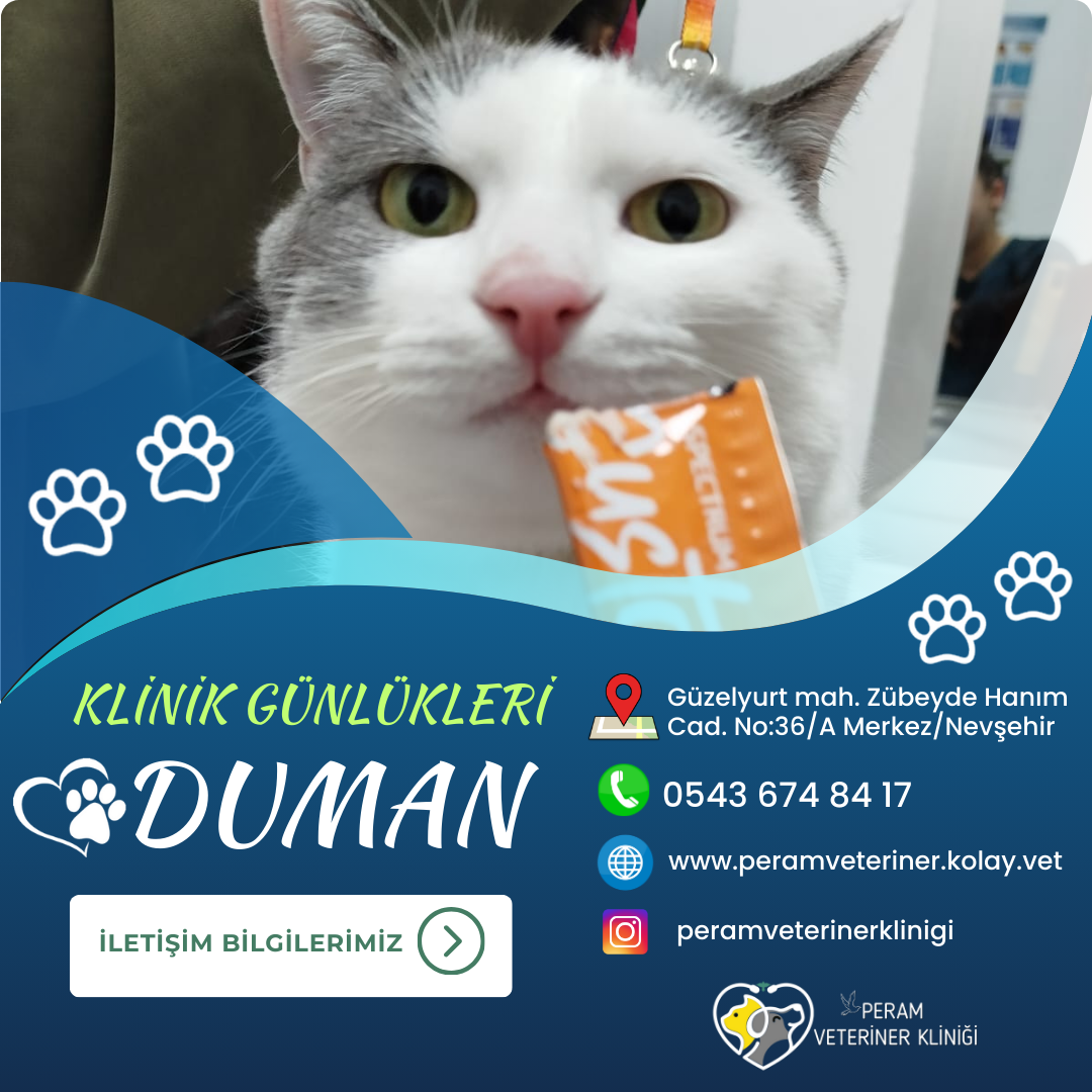 DUMAN-1