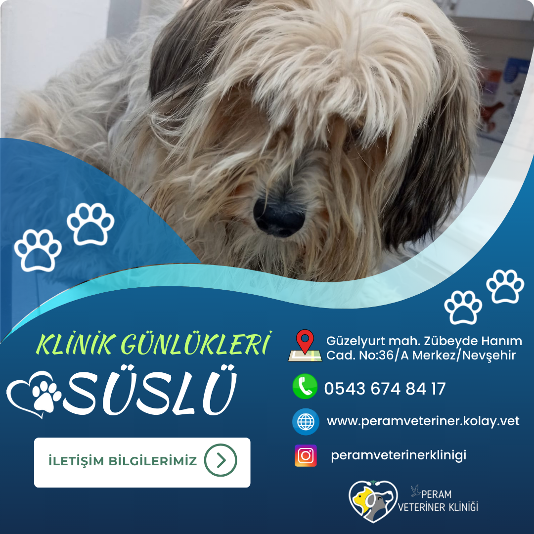SÜSLÜ