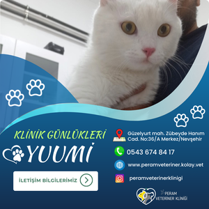 YUUMİ