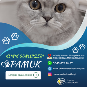PAMUK1