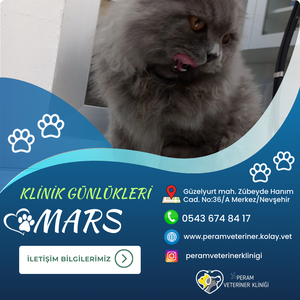 MARS