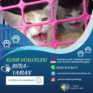 MİRA-YAMAN