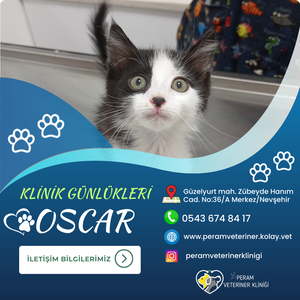 OSCAR