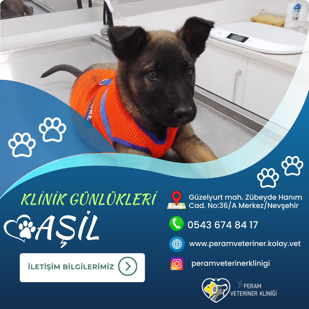 AŞİL