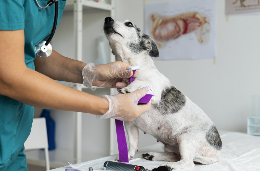 Hemogram - Biyokimya