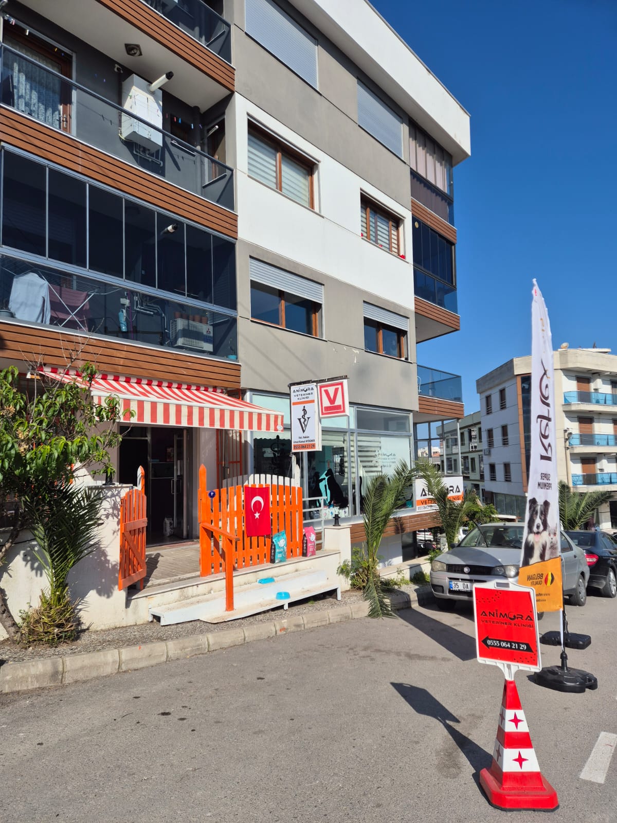 Urla’da Evcil Hayvanlarda En Sık Görülen Sağlık Problemleri