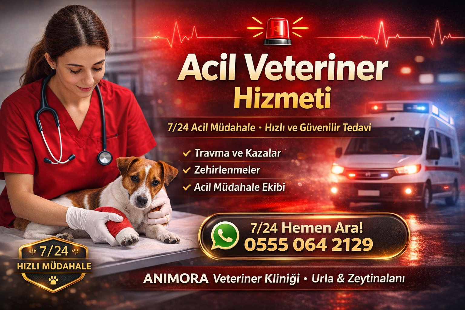 Urla Acil Veteriner Hizmeti | Animora Veteriner Kliniği