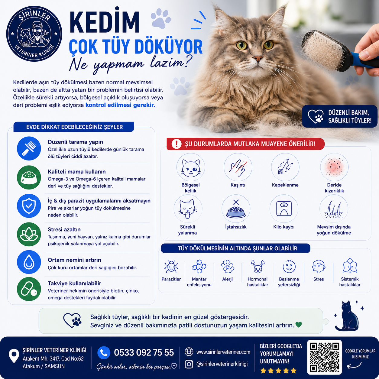 KEDİM ÇOK TÜY DÖKÜYOR 